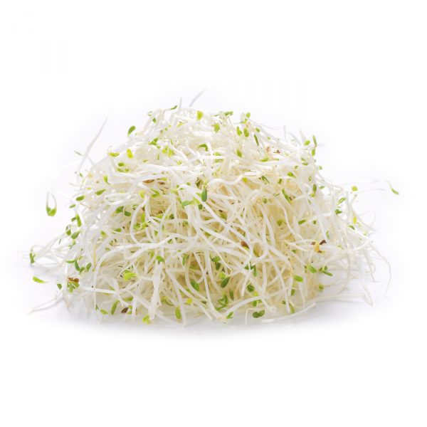 variety alfalfa sprouts