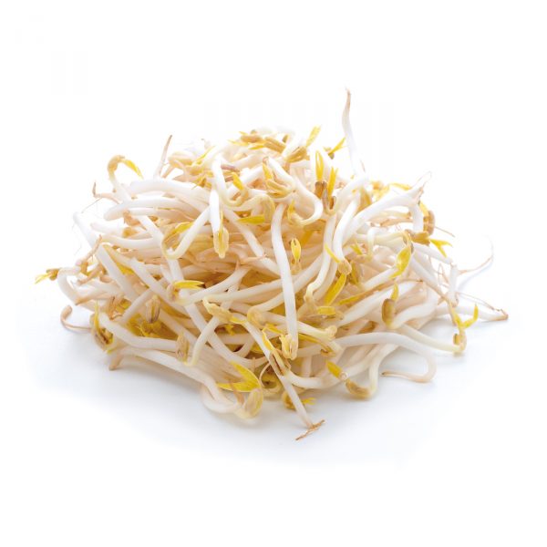 variety soy sprouts